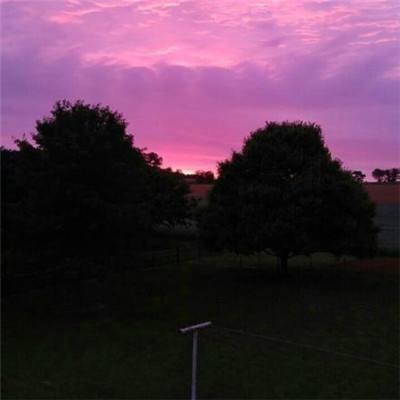 开云登陆-登录入口