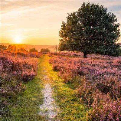 42982金牛网论坛